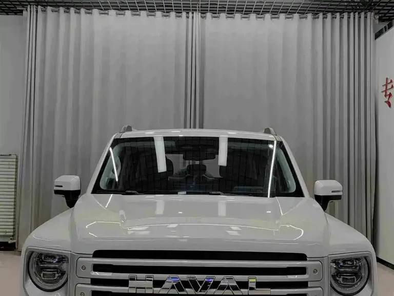 Haval Menglong NEV Hi4 145 Cross
