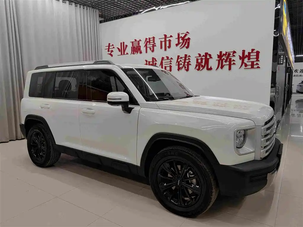 Haval Menglong NEV Hi4 145 Cross