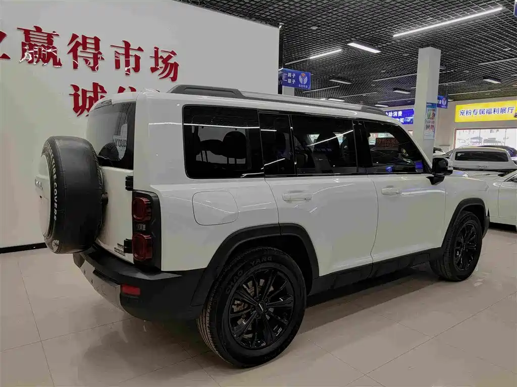 Haval Menglong NEV Hi4 145 Cross