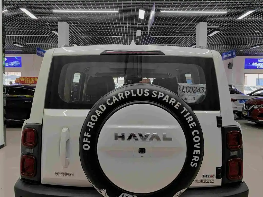 Haval Menglong NEV Hi4 145 Cross