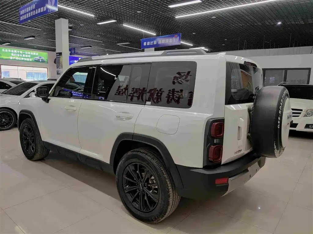 Haval Menglong NEV Hi4 145 Cross