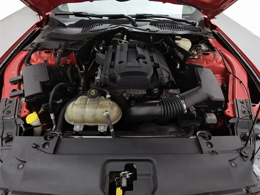 Mustang 2.3 T Performance