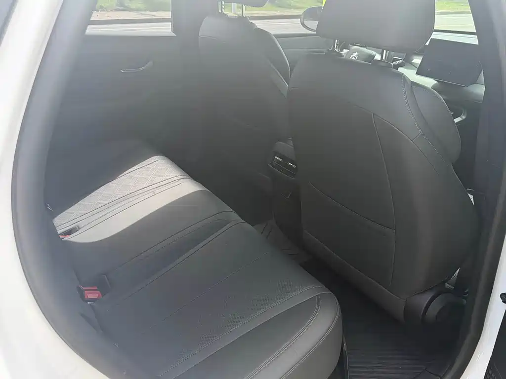 Qin PLUS DM-i Smart Drive 55 KM Leading