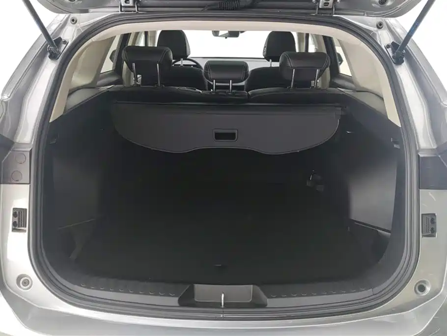 Haval H6 3 rd Gen 1.5 T Auto 2 WD Max