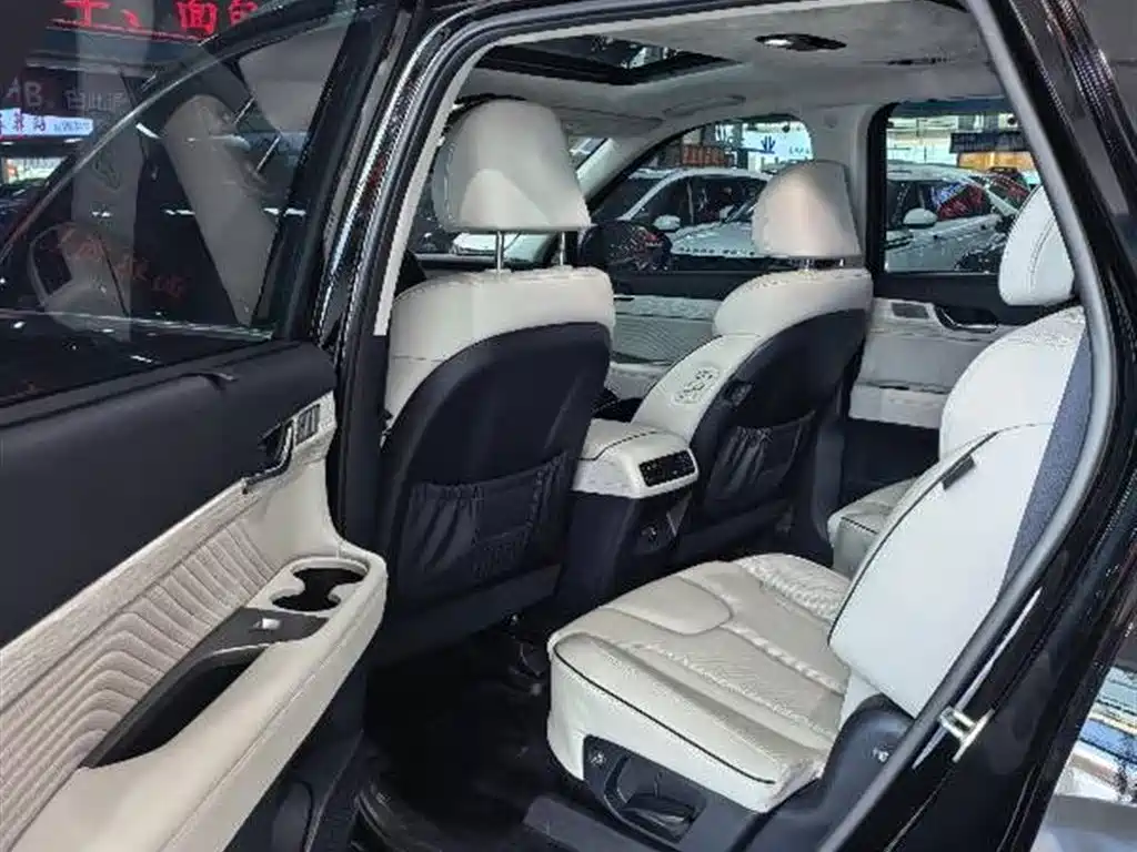 Palisade 帕里斯帝 2023款 3.5 L 自动四驱 鉴赏家增配版