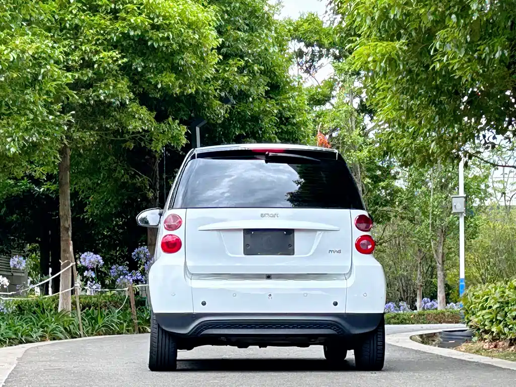 smart fortwo 1.0 MHD Hardtop New Year Special Edition