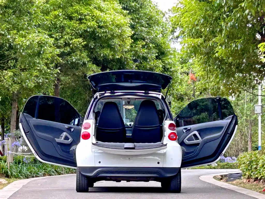 smart fortwo 1.0 MHD Hardtop New Year Special Edition