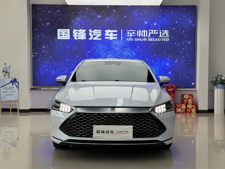BYD Qin PLUS DM-i 120 KM Flagship