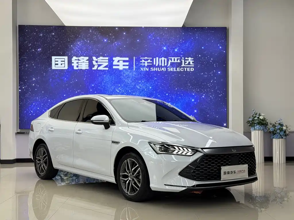 Qin PLUS DM-i 120 KM Flagship