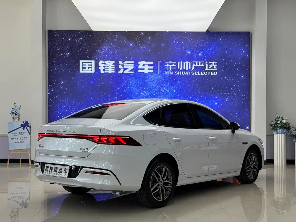 Qin PLUS DM-i 120 KM Flagship