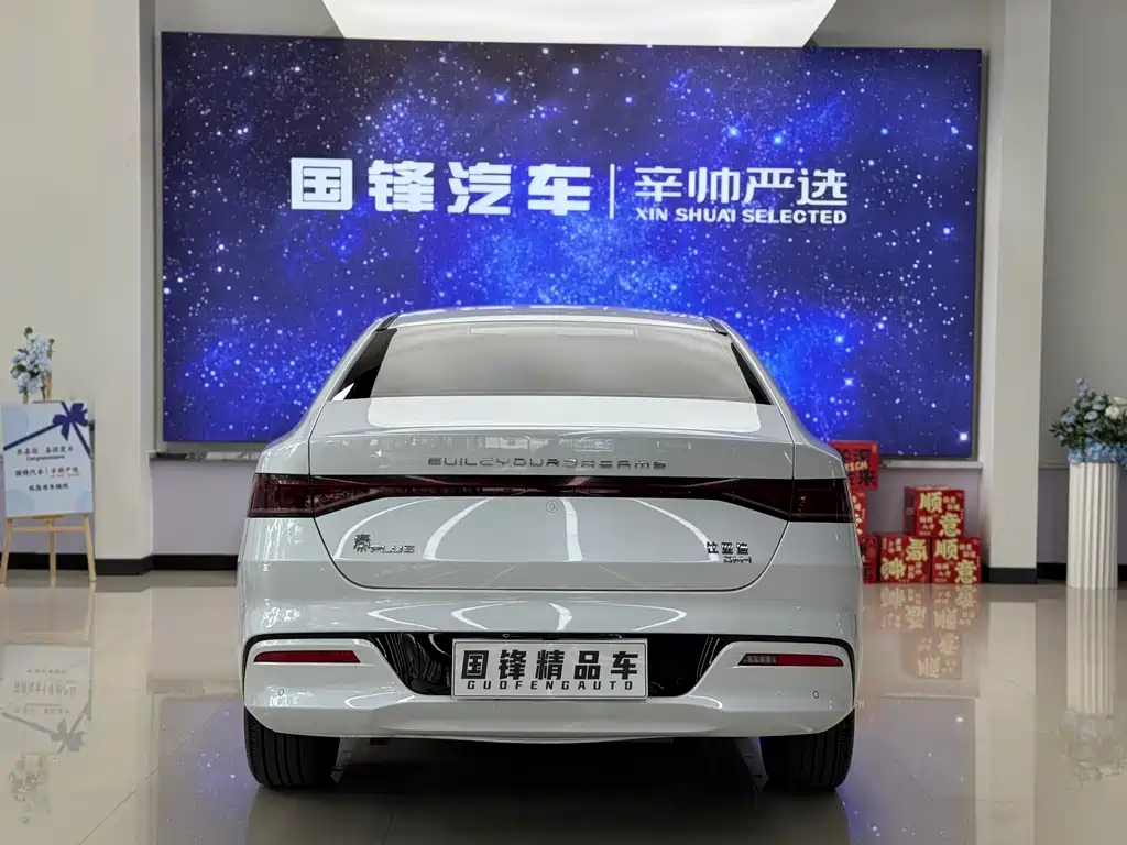 Qin PLUS DM-i 120 KM Flagship