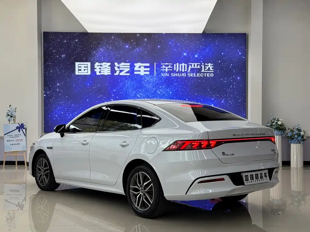 Qin PLUS DM-i 120 KM Flagship