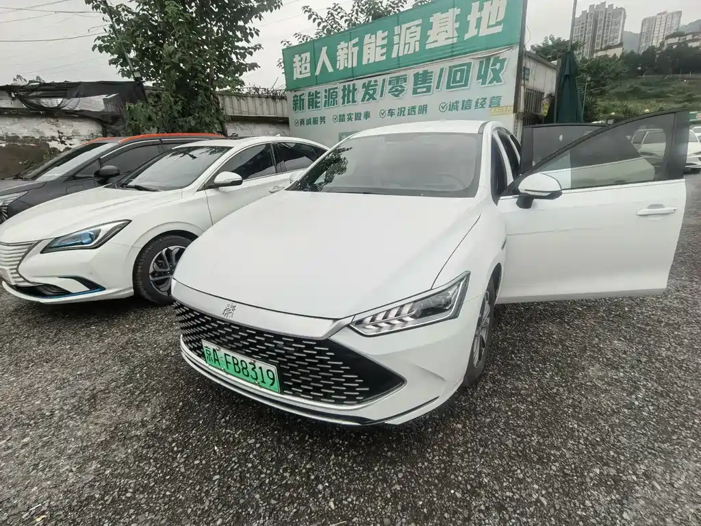 Qin PLUS Glory DM-i 55 KM Transcend