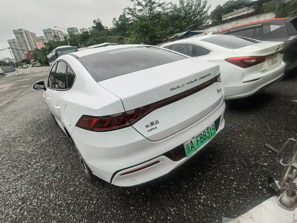 Qin PLUS Glory DM-i 55 KM Transcend