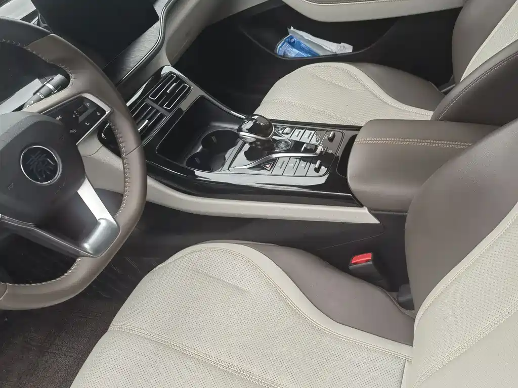 Qin PLUS Glory DM-i 55 KM Transcend