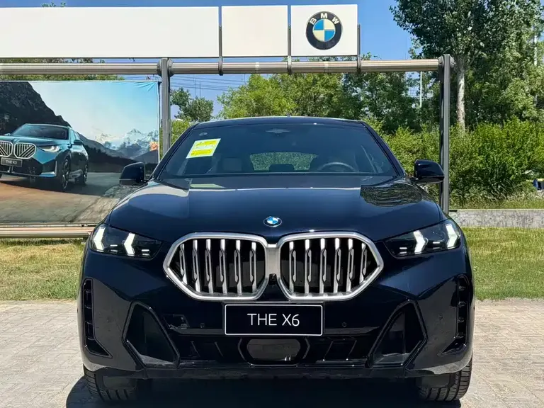 BMW X6 xDrive30 i M Sport Package