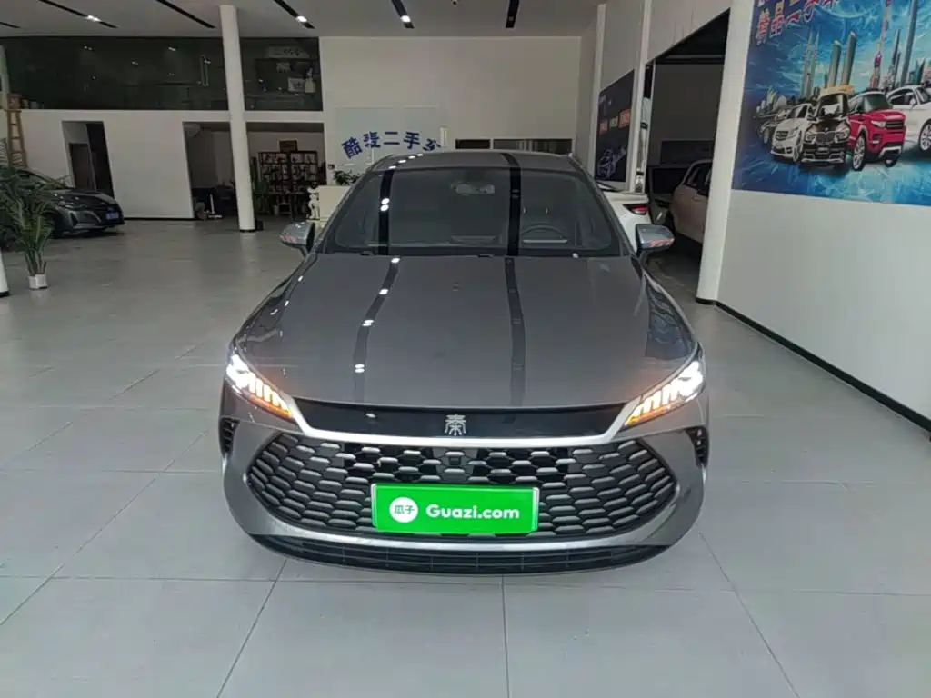 Qin PLUS DM-i Smart Drive 55 KM Leading