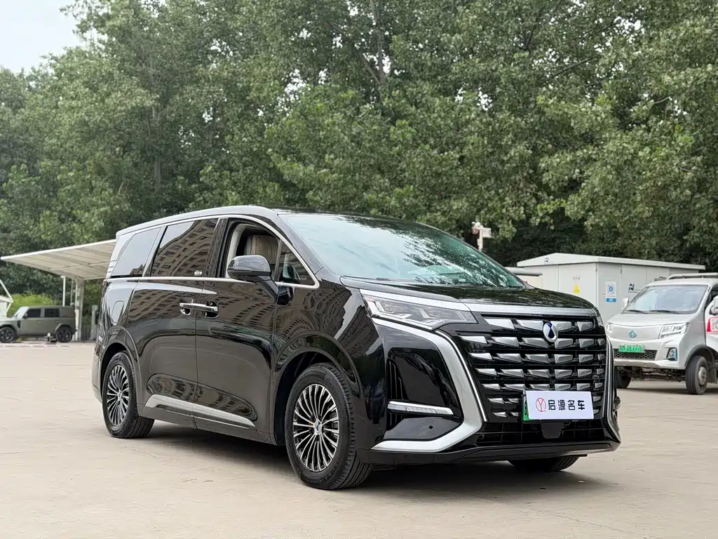 Denza D9 DM-i 980 4 WD Honored