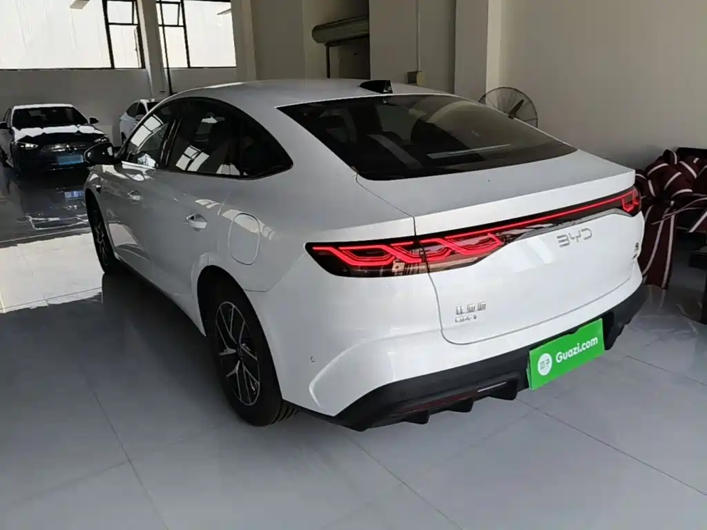 Qin L DM-i 128 KM Leading