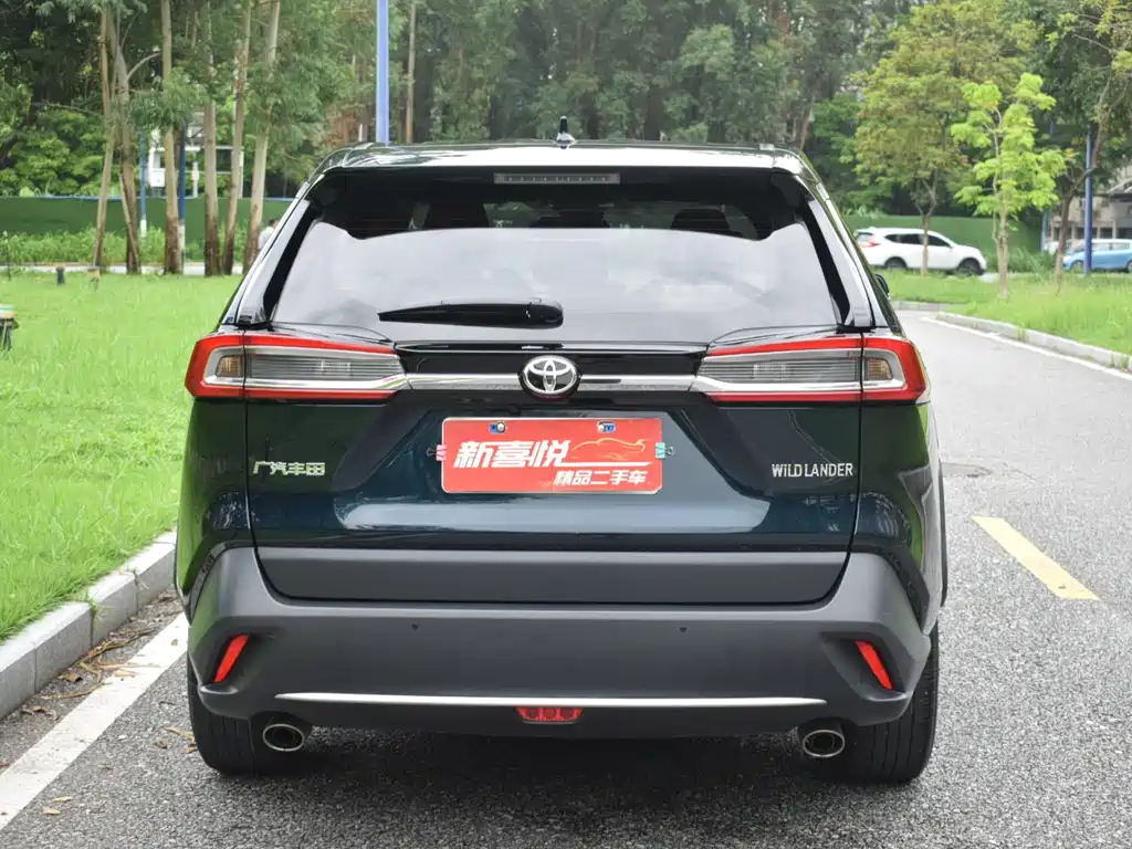 Wildlander 2.0 L CVT 2 WD Luxury