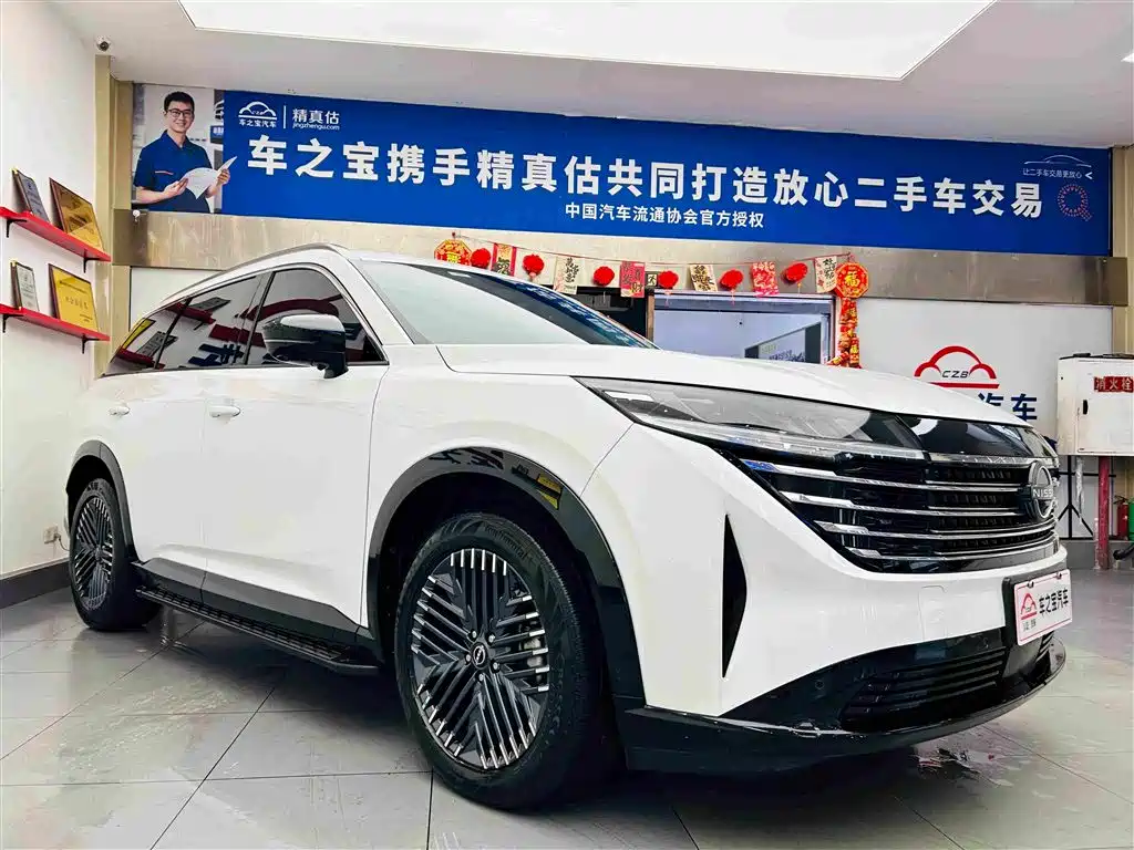 Tanlu 380 VC-TURBO 4 WD Smart Supreme 6-seat