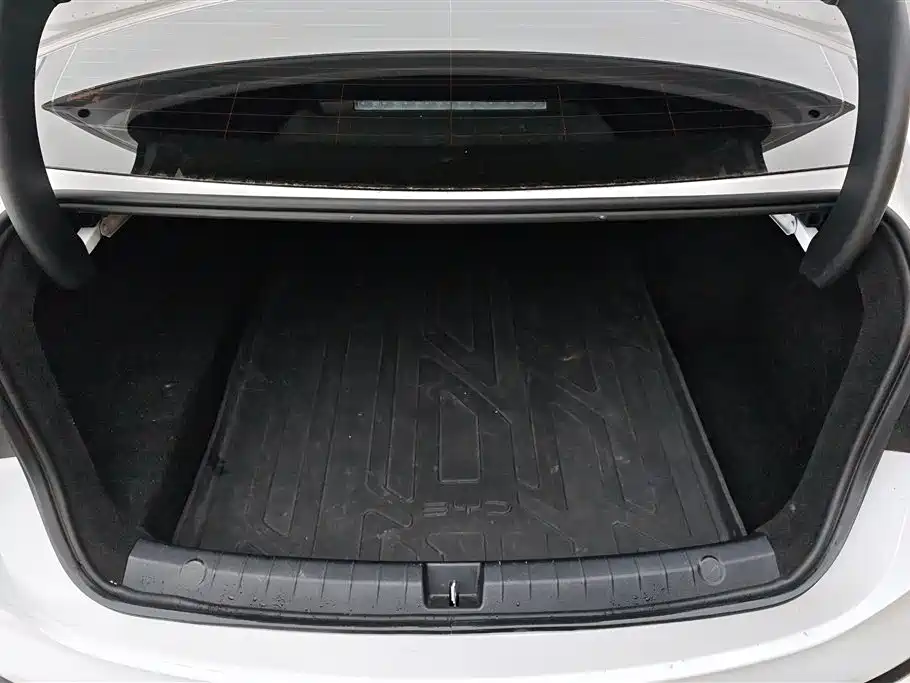 Seal 05 DM-i DM-i Smart Drive 55 KM Luxury