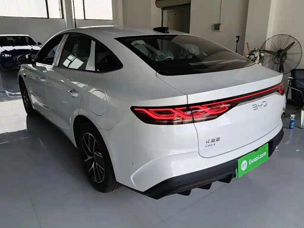 Qin L DM-i 128 KM Leading