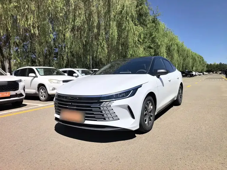 BYD Destroyer 05 Glory DM-i 55 KM Luxury