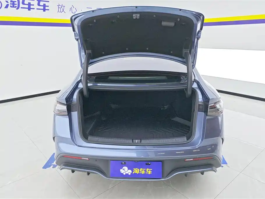 Seal 06 DM-i 120 KM Flagship