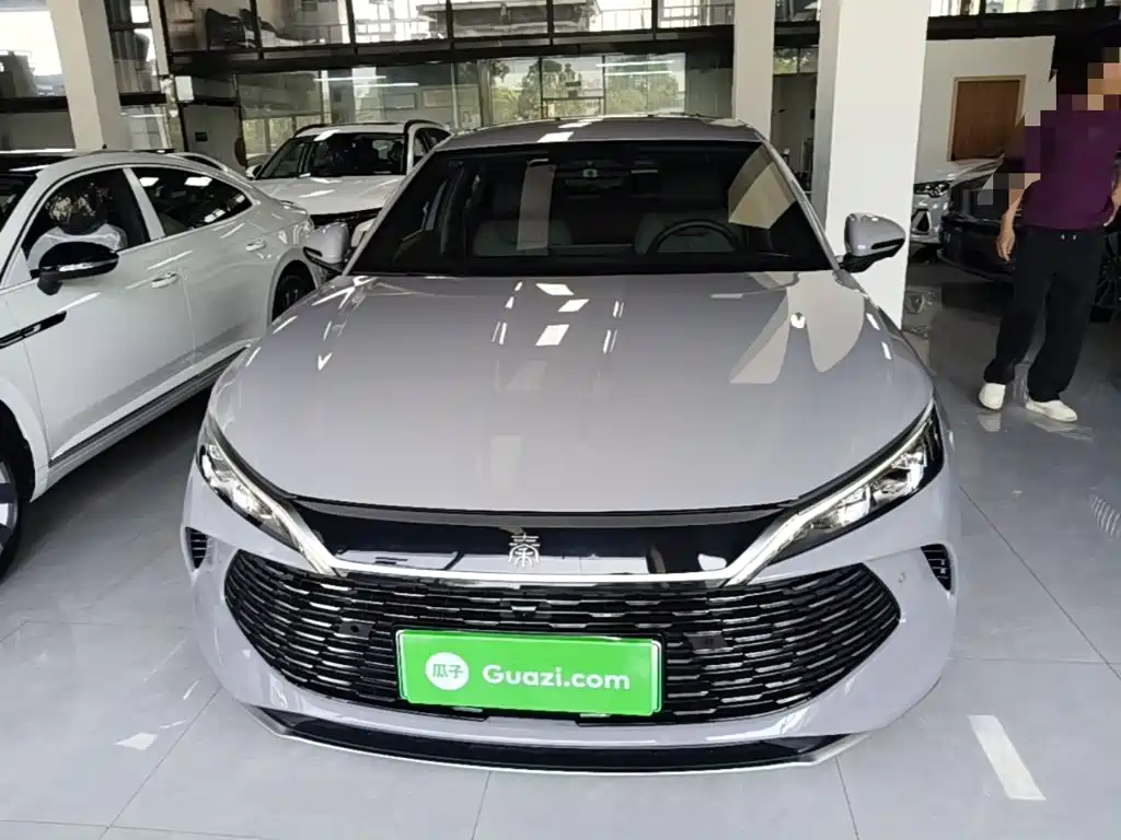 Qin L DM-i 128 KM Leading