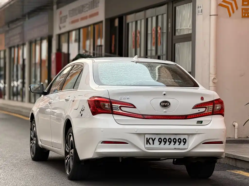 Qin NEV 1.5 T Dual Crown Flagship