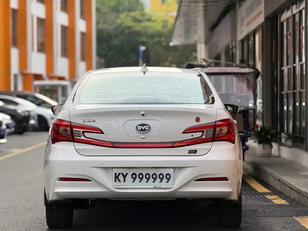 Qin NEV 1.5 T Dual Crown Flagship