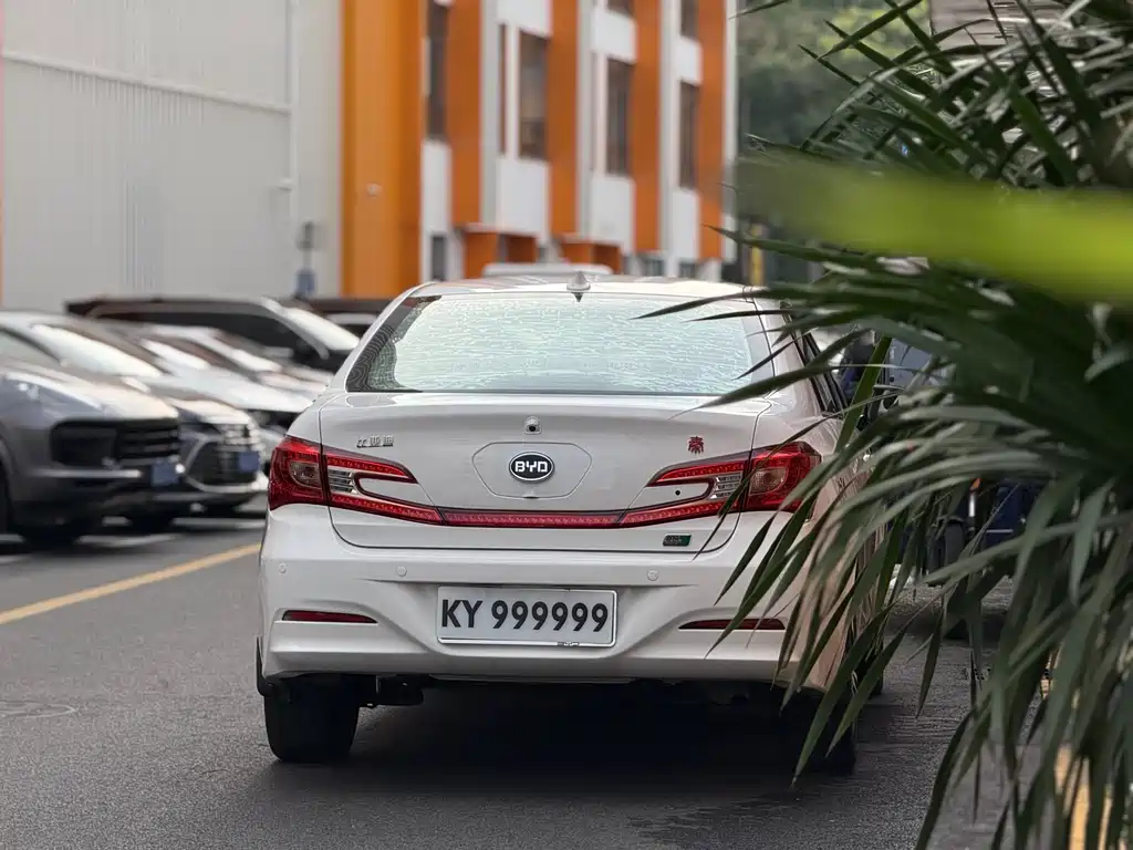Qin NEV 1.5 T Dual Crown Flagship
