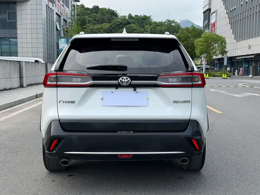 Wildlander 2.0 L CVT 2 WD Luxury