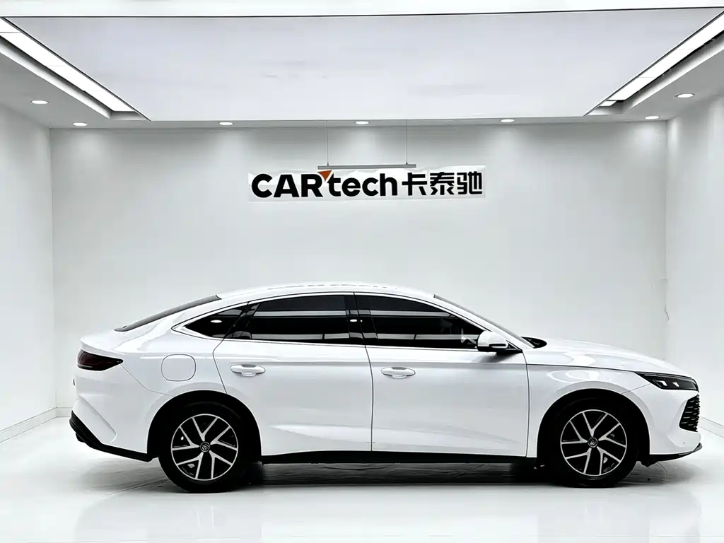 Qin L DM-i 80 KM Leading