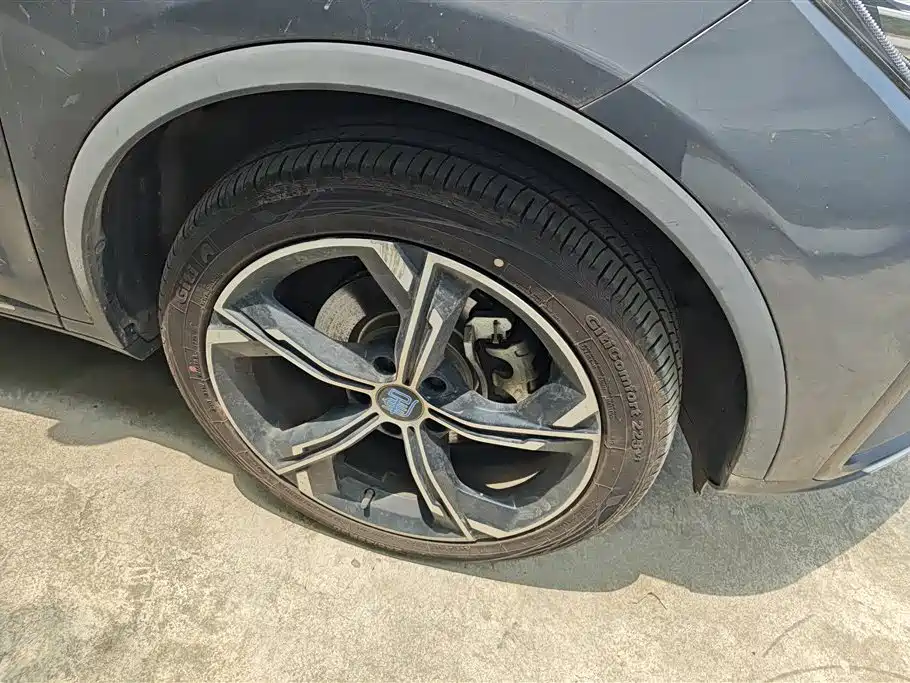 Tang NEV DM-i 112 KM Honored