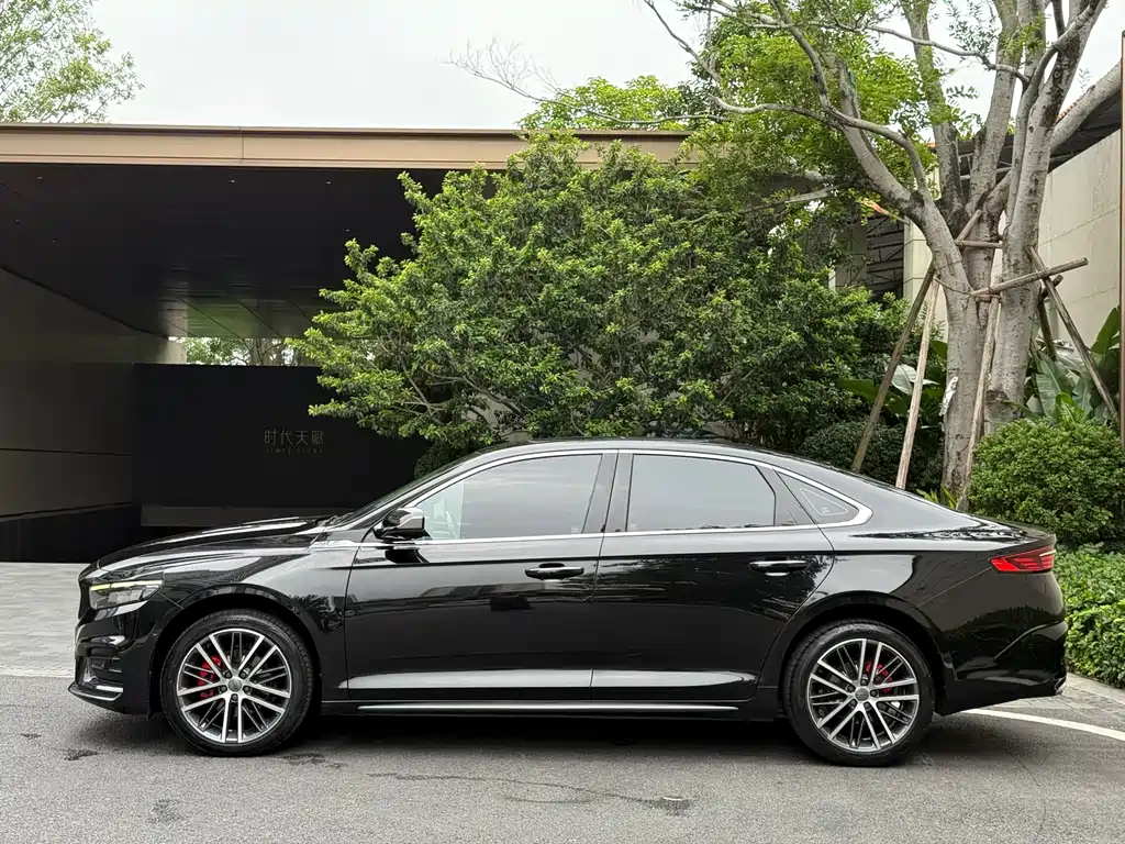 Xingrui 2.0 TD Luxury