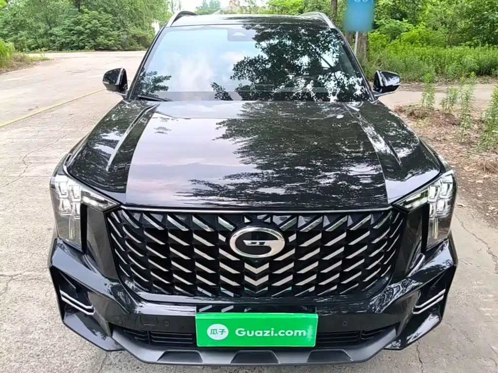 GAC Trumpchi GS8 Navigator Series 2.0 TGDI 2 WD Premium (7-seat)
