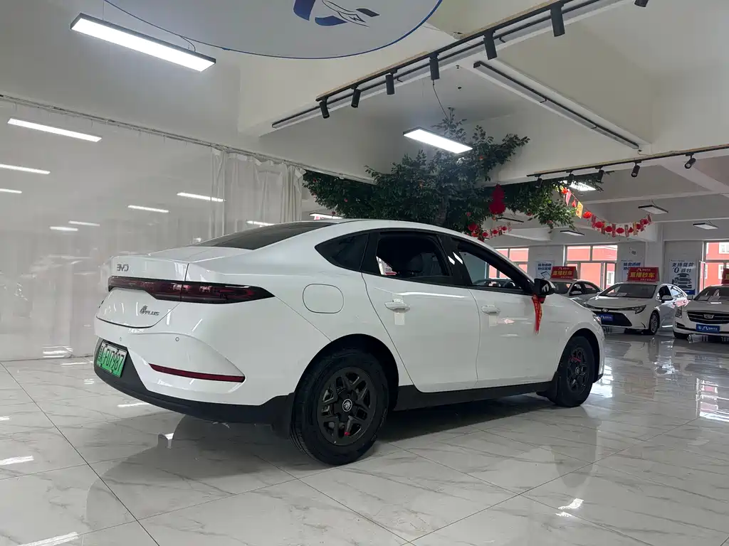 Qin PLUS DM-i Smart Drive 55 KM Leading