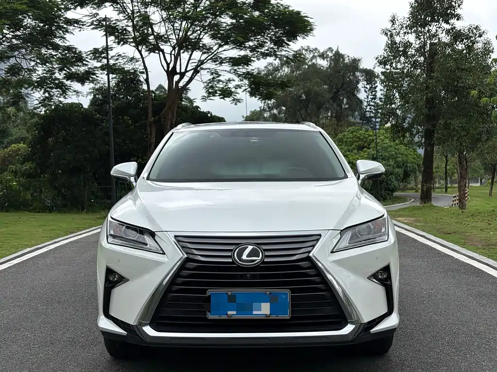 Lexus RX 300 2 WD Comfort CN-V