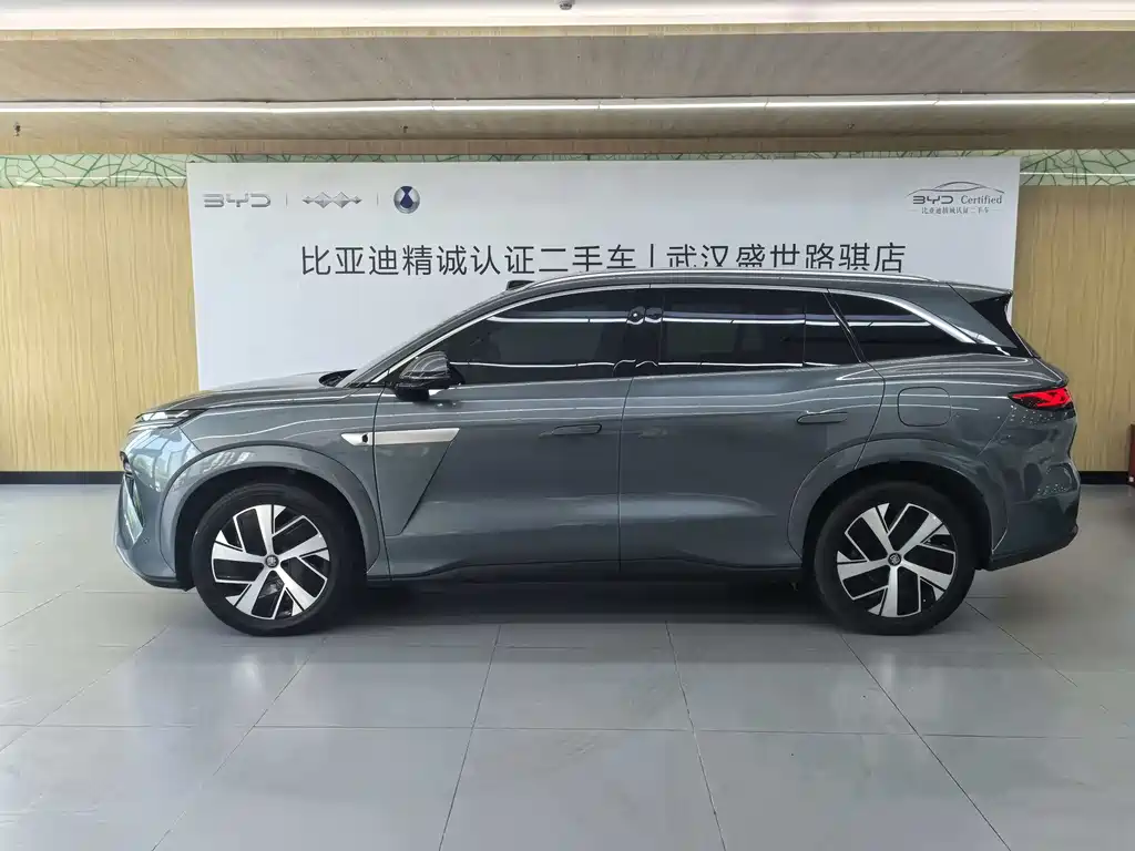 Tang L DM 200 KM 4 WD Lidar Flagship