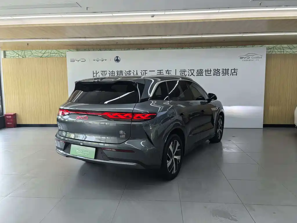 Tang L DM 200 KM 4 WD Lidar Flagship