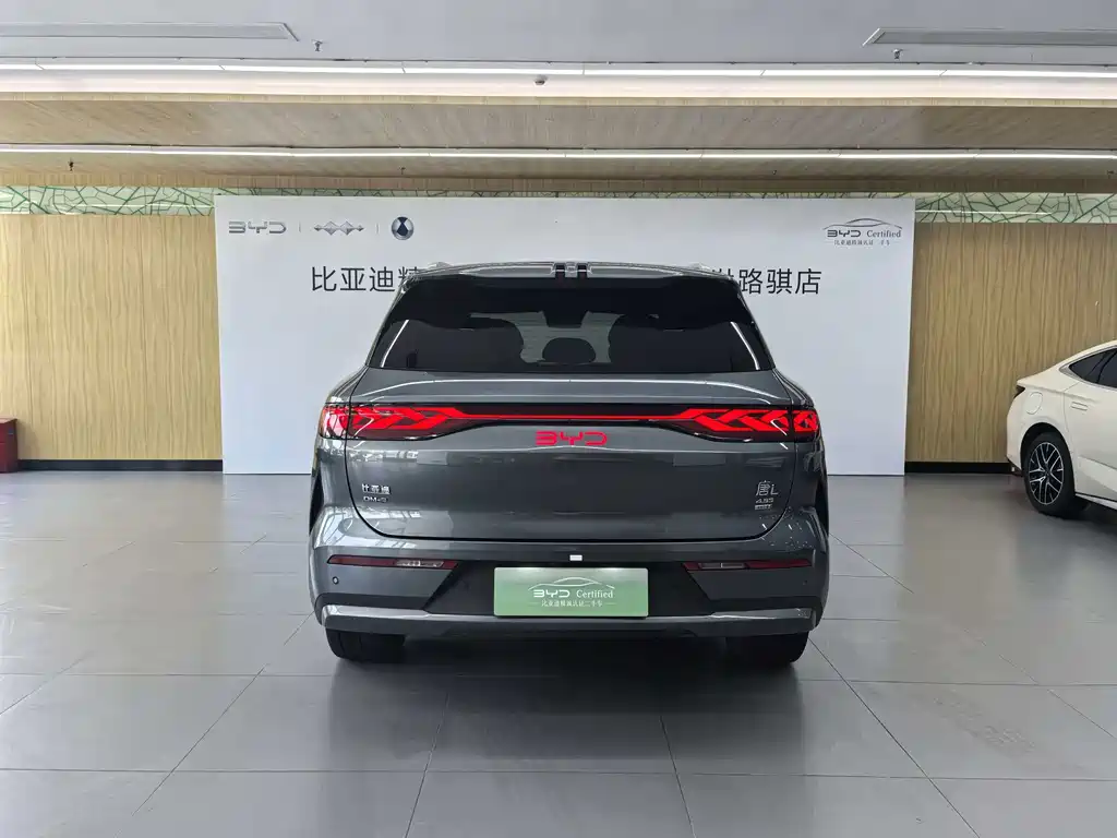 Tang L DM 200 KM 4 WD Lidar Flagship