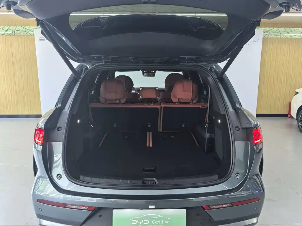 Tang L DM 200 KM 4 WD Lidar Flagship