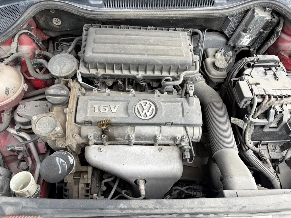 Polo 1.6 L Auto Luxury