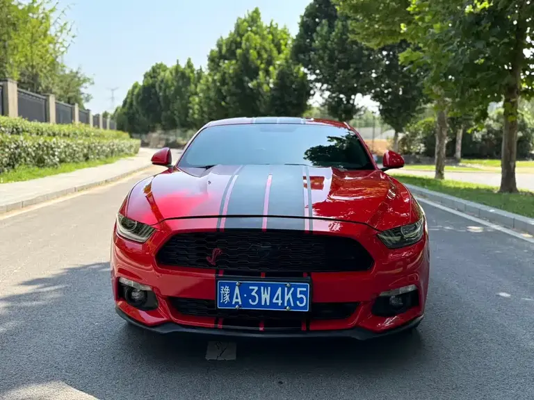Ford Mustang 2.3 T 50 Anniversary