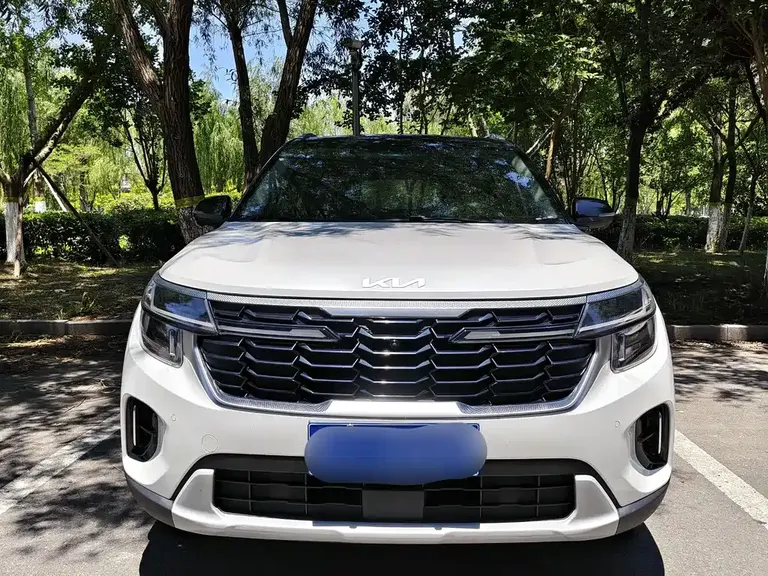 Kia Seltos 1.5 L CVT Distinguished