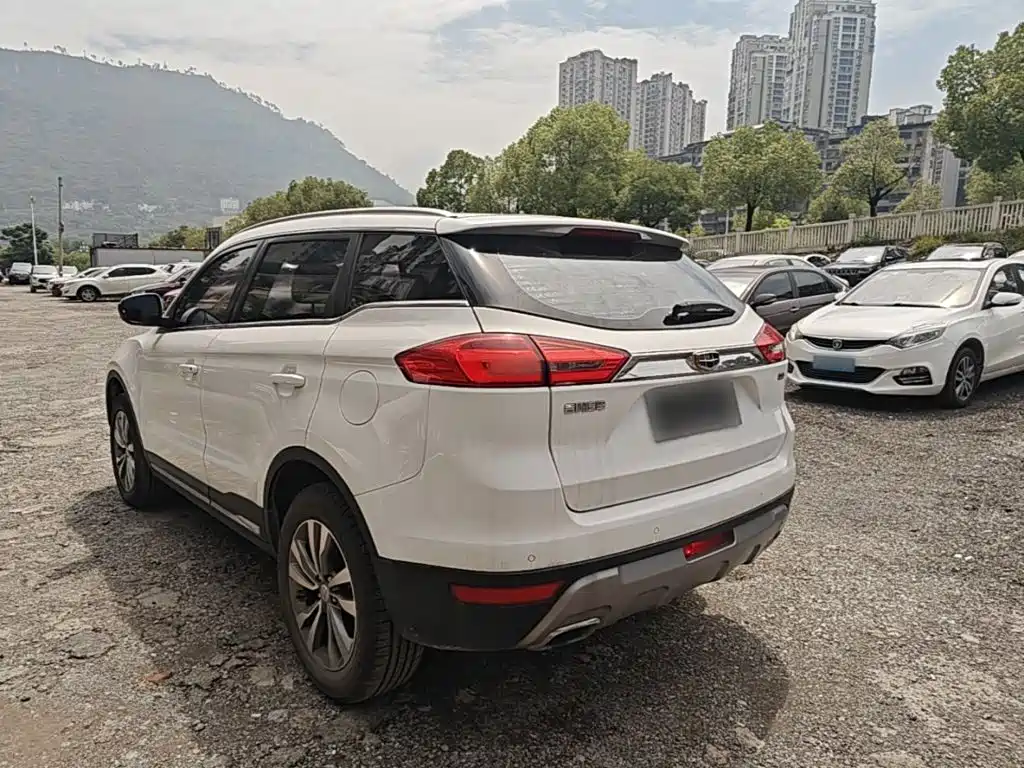 Boyue 2.0 L Manual Connected