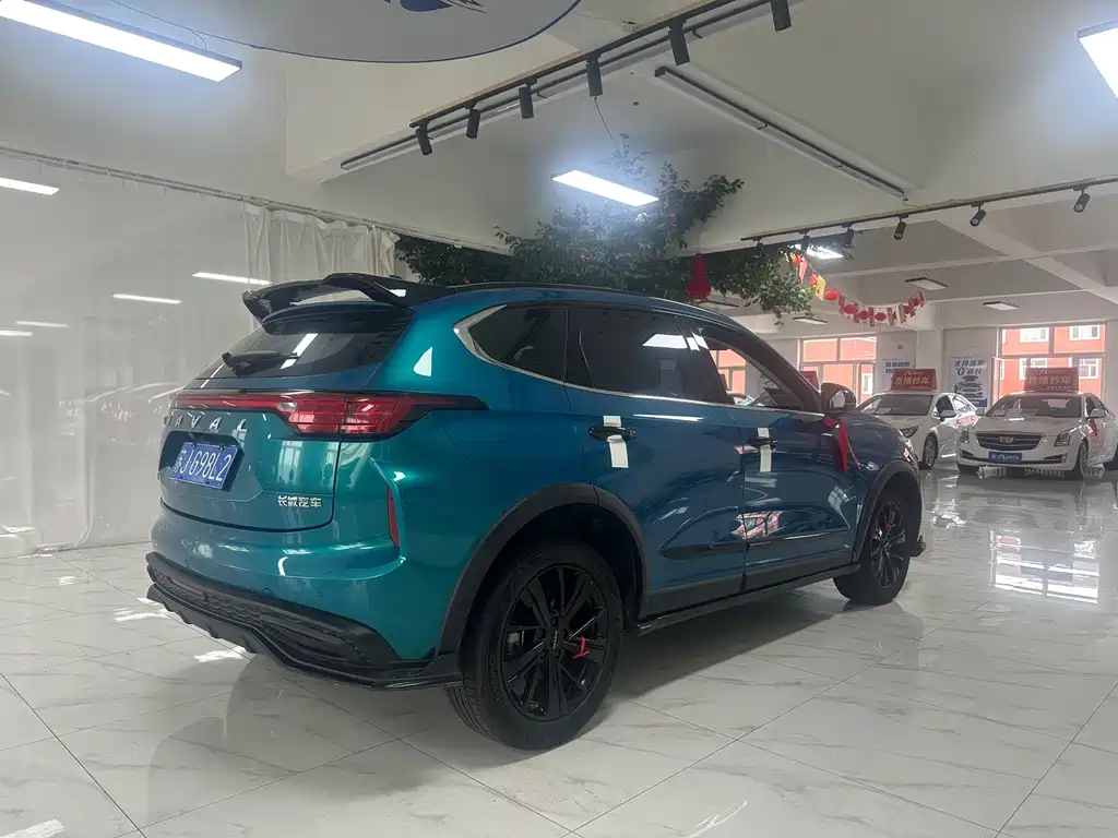 Haval Chitu Turbo 1.5 T Silver Rabbit