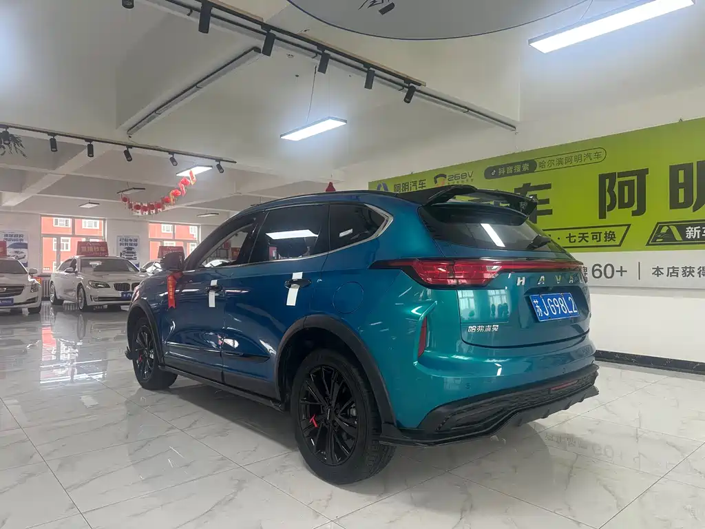 Haval Chitu Turbo 1.5 T Silver Rabbit